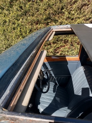 IMG_20260407_120653200_HDR (360x480).jpg